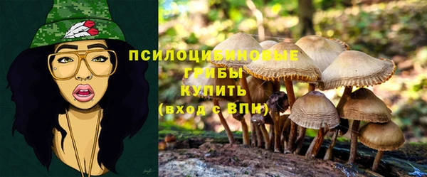 круглые Алексеевка