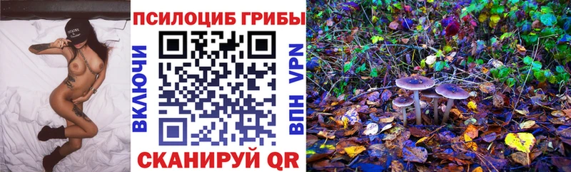 Псилоцибиновые грибы мицелий  Харовск 